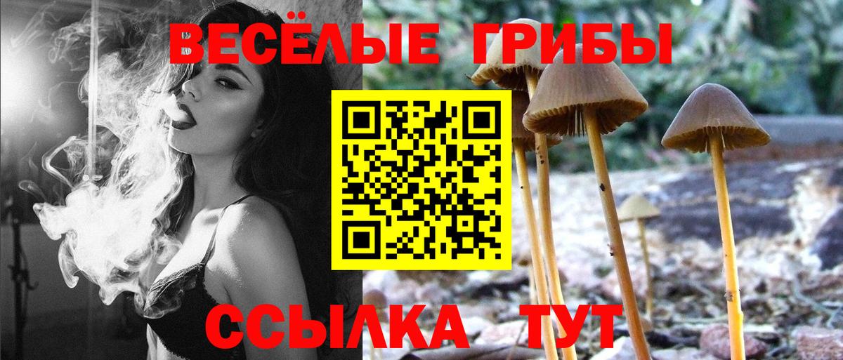 Псилоцибиновые грибы прущие грибы Городец