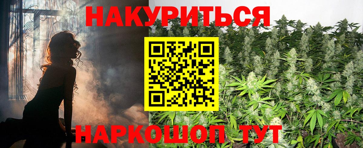Каннабис планчик Городец